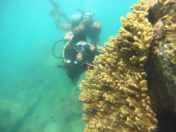 Nha Trang Island Hopping And Parasailing Tour